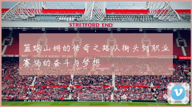 篮球山姆的传奇之路从街头到职业赛场的奋斗与梦想