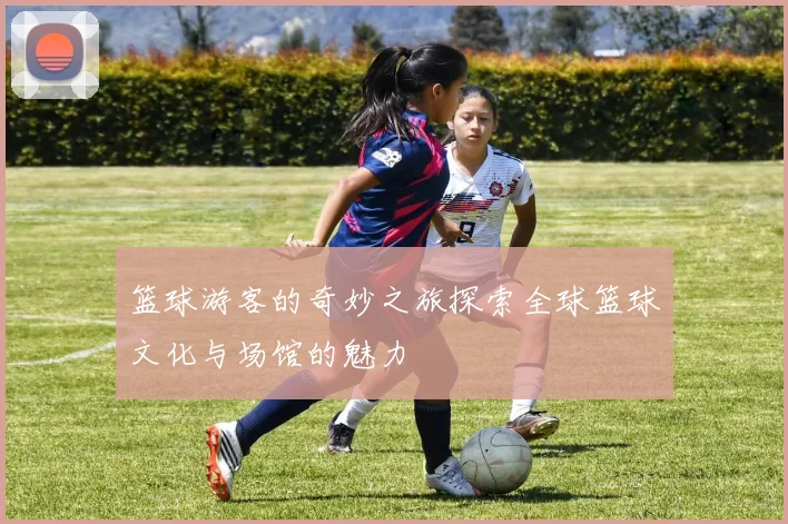 篮球游客的奇妙之旅探索全球篮球文化与场馆的魅力