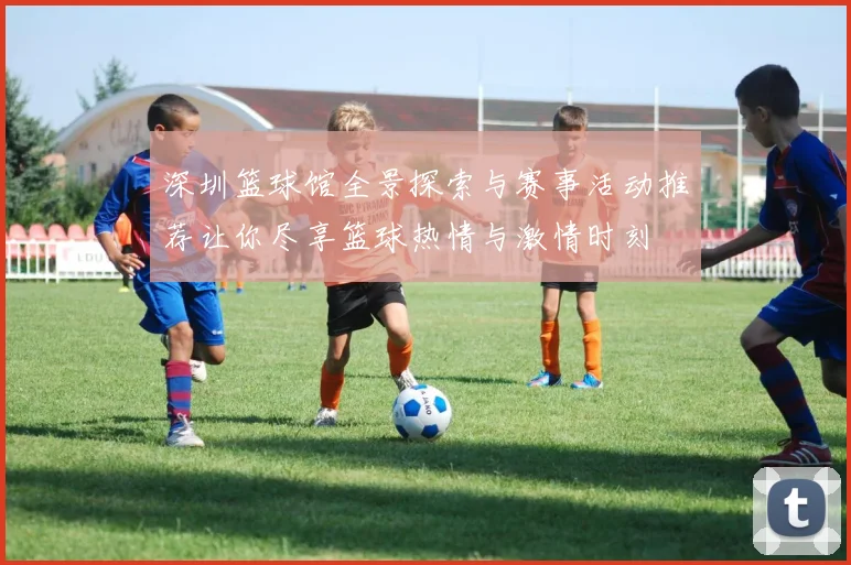 深圳篮球馆全景探索与赛事活动推荐让你尽享篮球热情与激情时刻