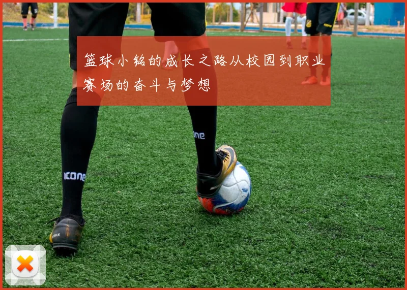 篮球小铭的成长之路从校园到职业赛场的奋斗与梦想