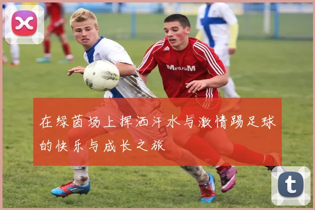 在绿茵场上挥洒汗水与激情踢足球的快乐与成长之旅